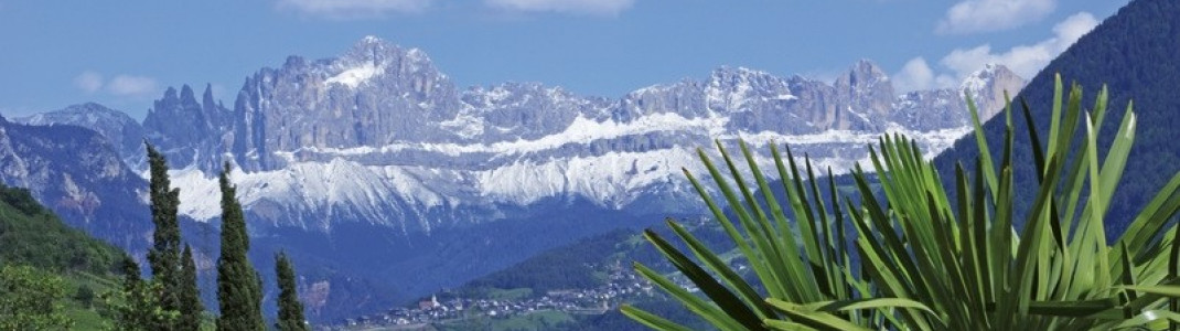 Zwischen Alpen und Zypressen
