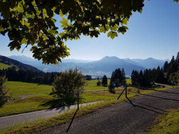 Während der Tour kannst du einen atemberaubenden Ausblick in Richtung Bregenzerwald genießen.