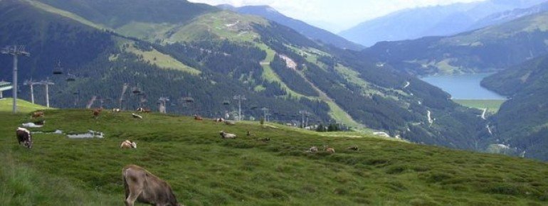 Unterwegs auf der Kreuzwiese