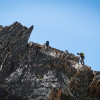 Auf dem Klettersteig Jegihorn ist Abenteuer garantiert.