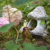 Waldfamilienweg Thierbach Wildschönau