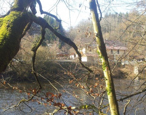 Im Wirtshaus zur Triftersperre ist eine Möglichkeit sich im Biergarten die Sonne auf den Bauch scheinen zu lassen