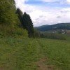 An der Südseite des Sicklinger Bergs