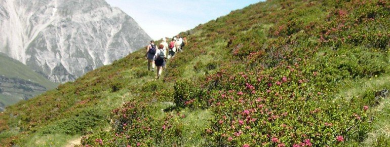 Am Alpenrosenweg