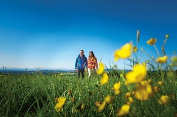 Unterwegs auf sanften Wiesenlandschaften