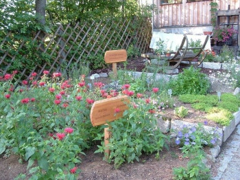 Heilkräutergarten in Klaffer
