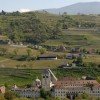 Weinberge um das Kloster Neustift