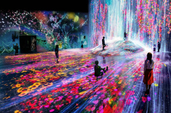 Im Digital Art Museum verschmelzen Kunst und Erlebnis.