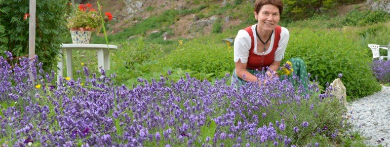 Kräuteralm in Klaffer am Hochficht
