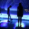 Das Aquarium führt dich durch verschiedene Gewässer bis in die Tiefen des Roten Meeres.