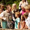 Bei der Pinguin-Fütterung