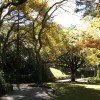 Light flooded Botanic Garden in autumn