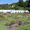 One segment of Wellington&#39;s Botanic Garden
