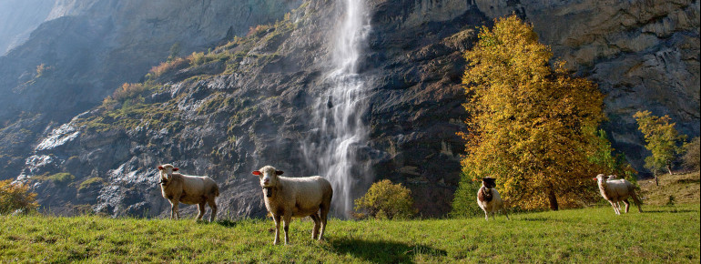 The Staubbach Falls are around 300 metres high.
