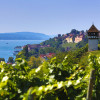 Meersburg ist umgeben von Weinbergen.
