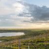 Am Weinberg Goldener Steiger sind Weinverkostungen möglich.