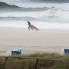 Sylt ist Austragsort des Windsurf World Cups